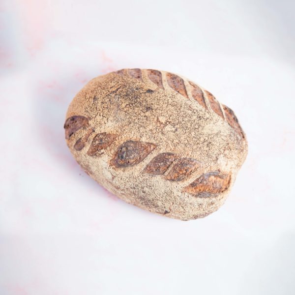 לחם בצל